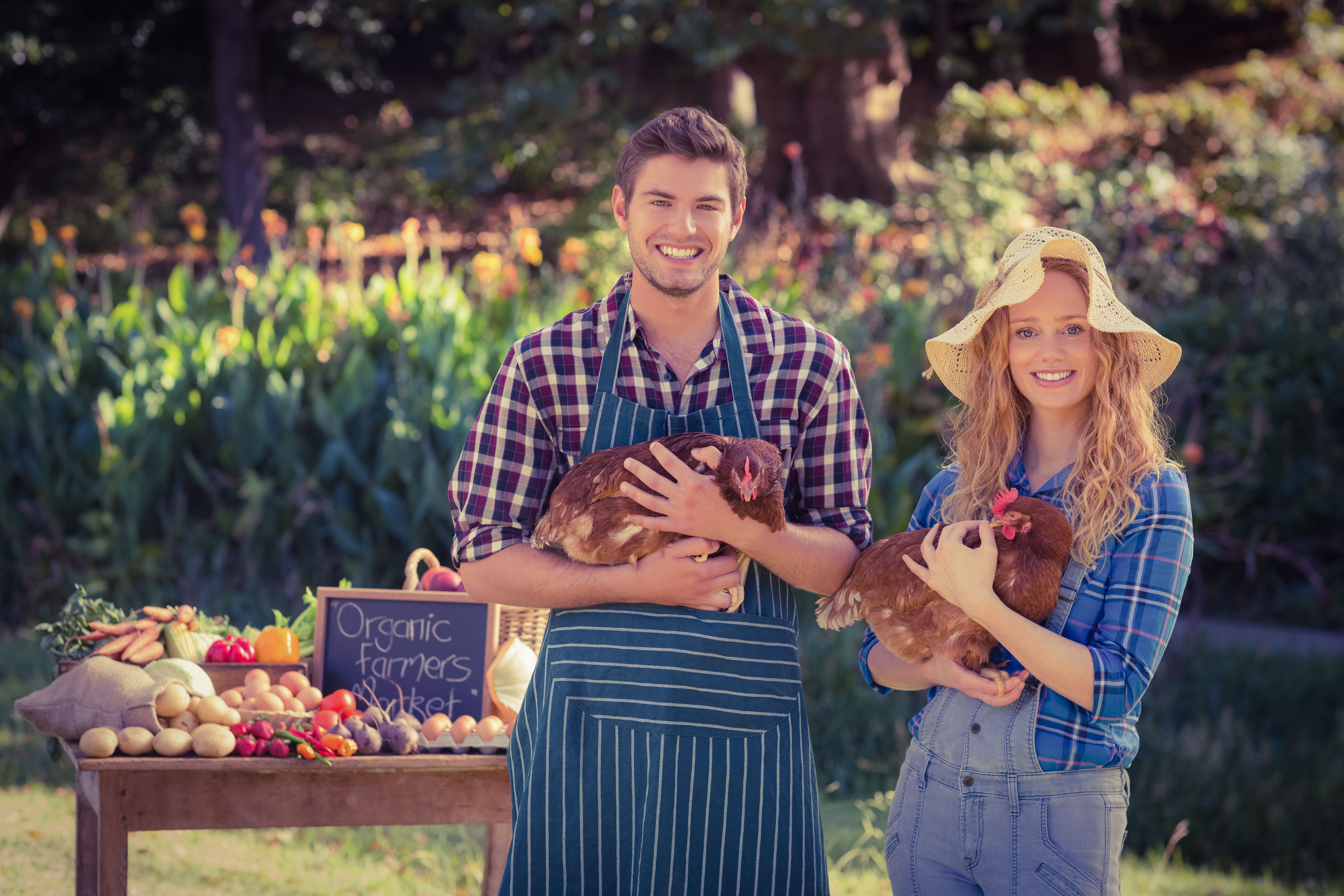 Happy farmers standing at their stall and holding chicken on a sunny d